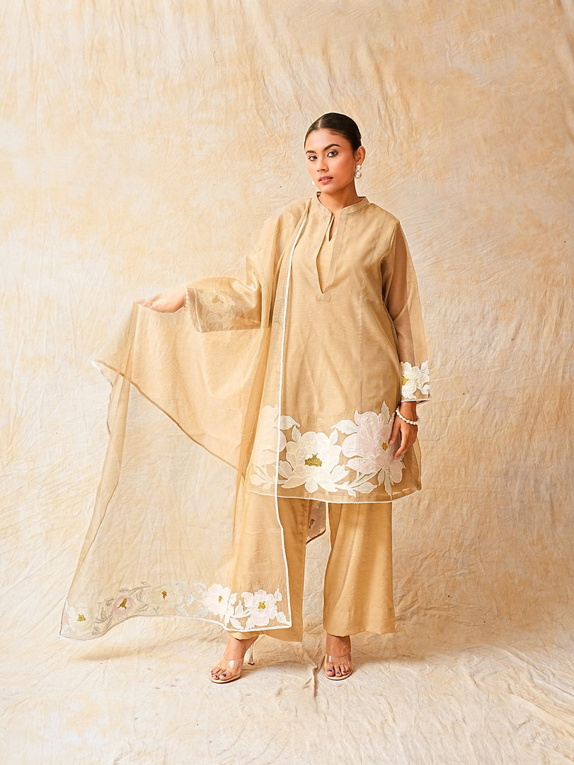 Mouse Colour A Line Suit